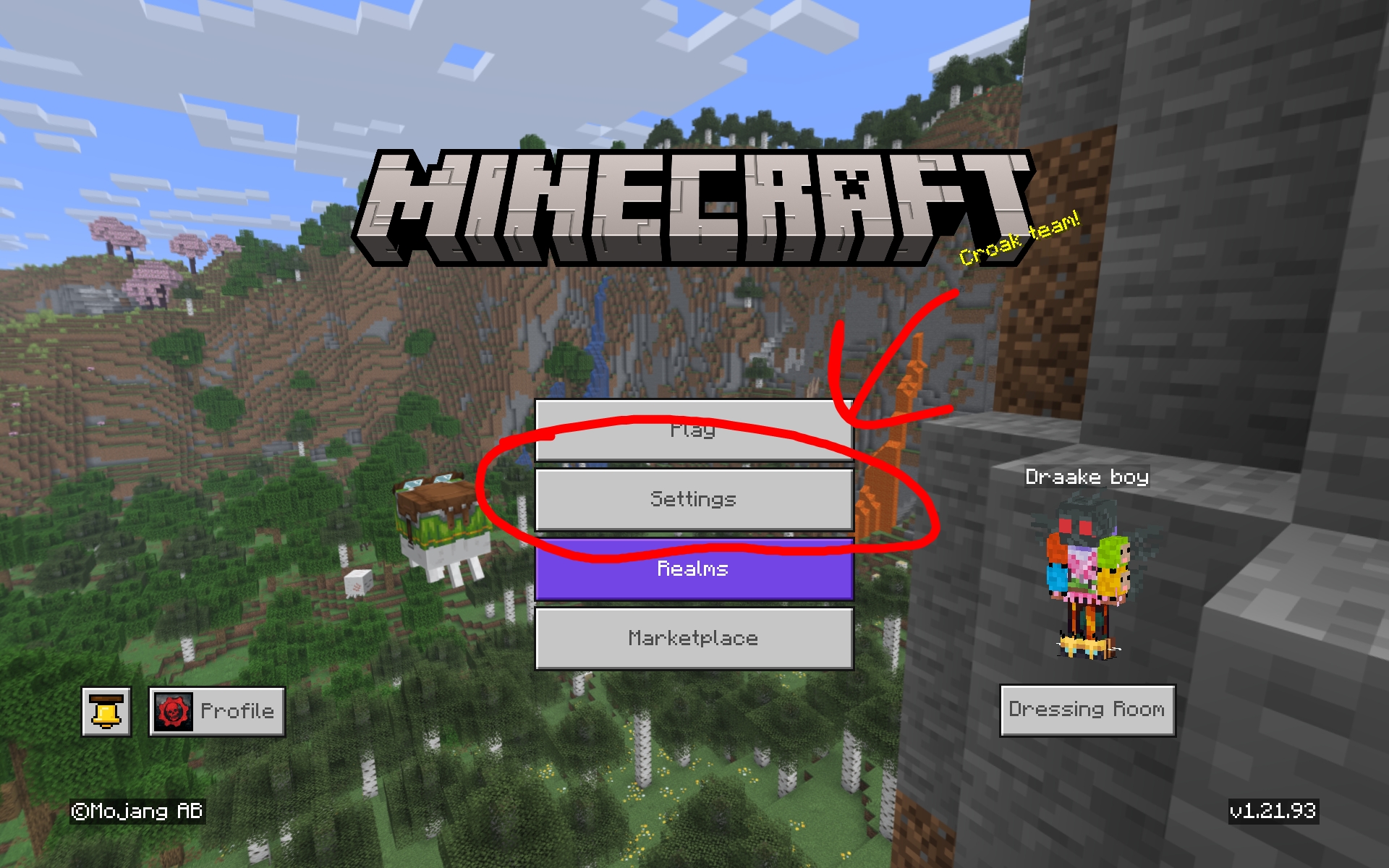 Import the mcpack and Open Minecraft → Settings.